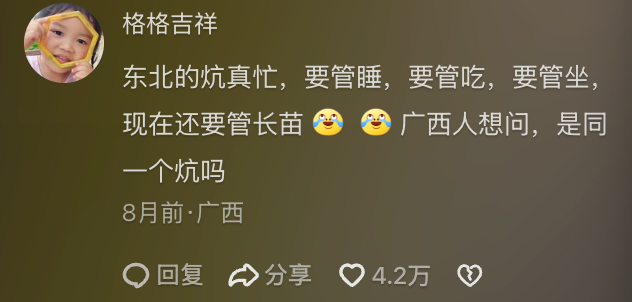 同样是做菜视频，为什么八零徐姥姥单个视频点赞超百万？-热门视频拆解 - 第5张图片